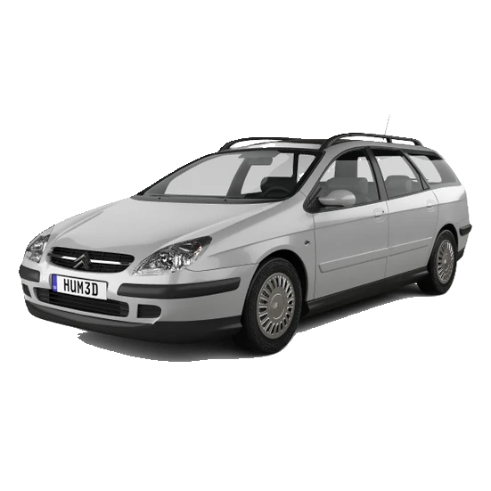 Citroen C5 Kombi 2001-2007 lyžiny
